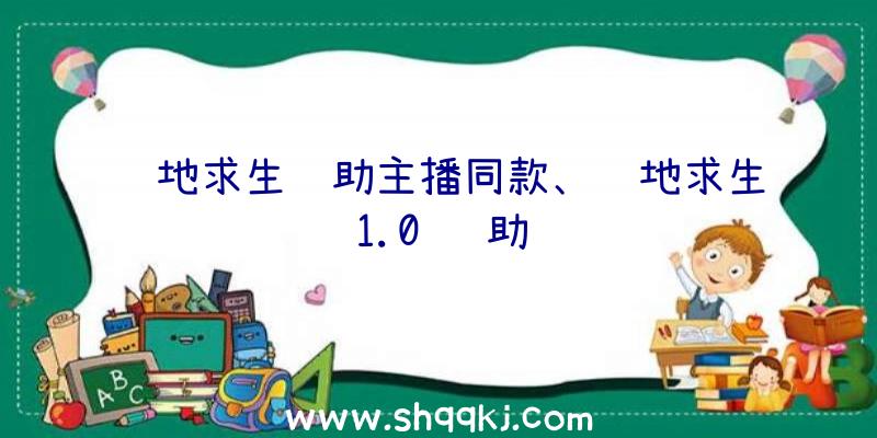 绝地求生辅助主播同款、绝地求生1.0